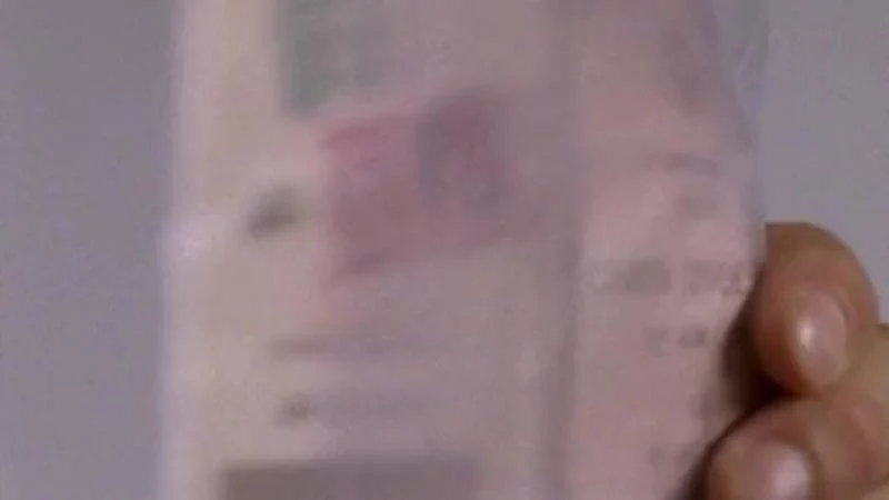 Кадры из сериала Комиссар Рекс (1994)