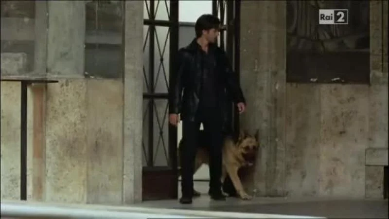 Кадры из сериала Комиссар Рекс (1994)
