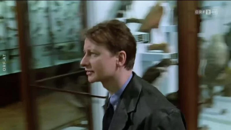 Кадры из сериала Комиссар Рекс (1994)